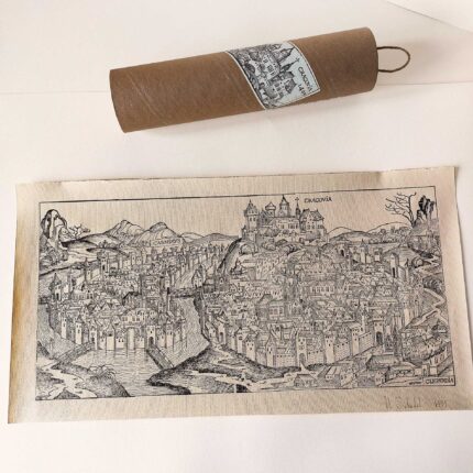 Kraków print schedel